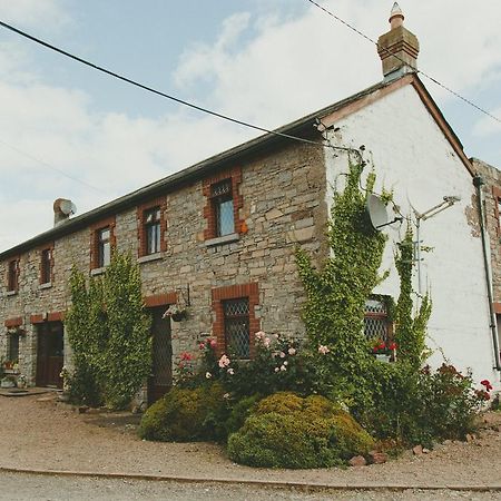 Bective Mill B&B Kilmessan Dış mekan fotoğraf