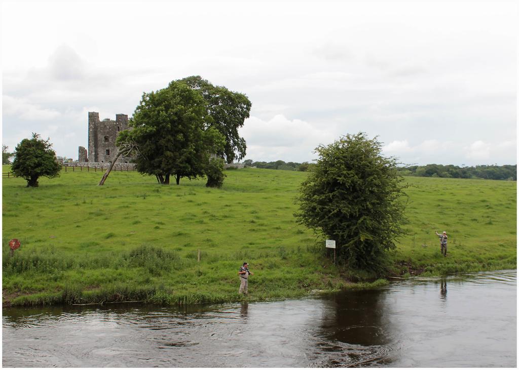 Bective Mill B&B Kilmessan Dış mekan fotoğraf